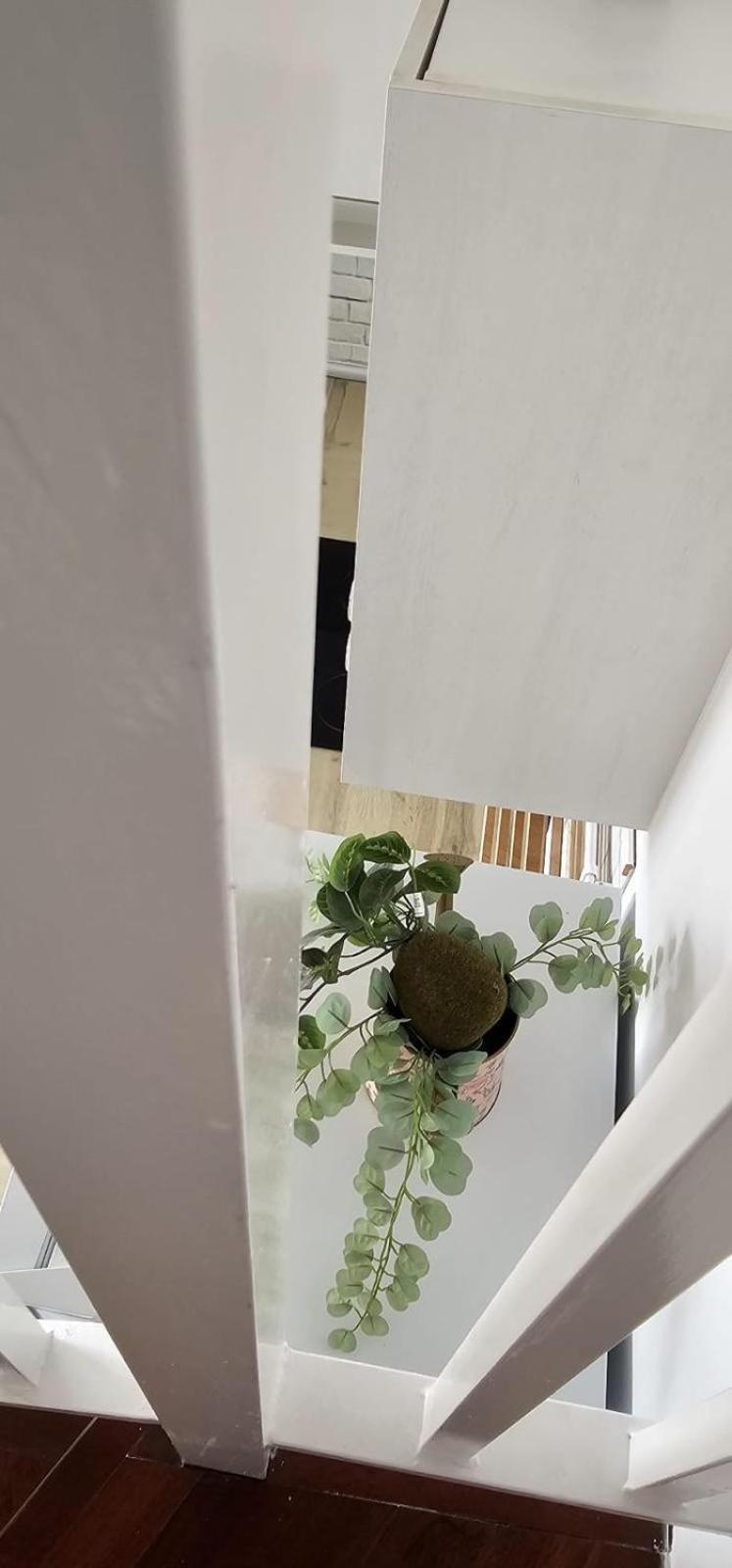 Apartamentos Tocororo El Cotillo  Экстерьер фото